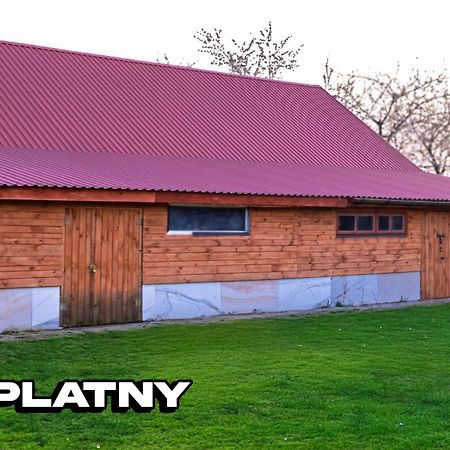 Agroturystyka Nielisz Zamosc - Kwatery Przy Skansenie Exteriör bild